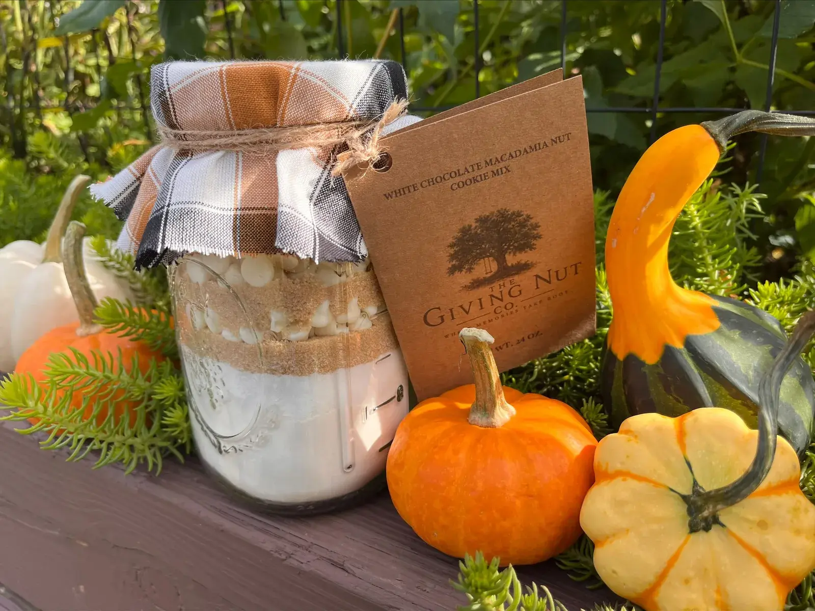A Giving Nut Co. jar of white chocolate macadamia nut cookie mix with a plaid fabric top and kraft tag, among small pumpkins and gourds on a garden bench